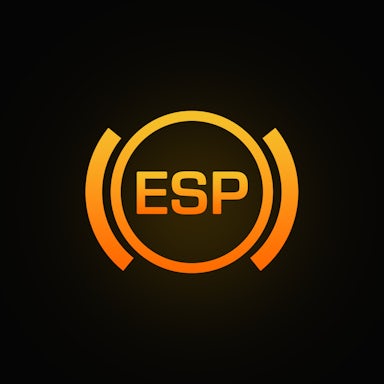 ESP warning light